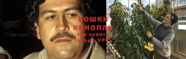 мет Бородино