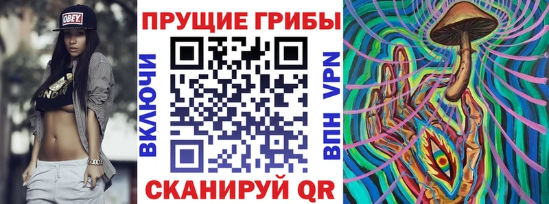 Галлюциногенные грибы MAGIC MUSHROOMS  дарнет шоп  Дальнереченск 
