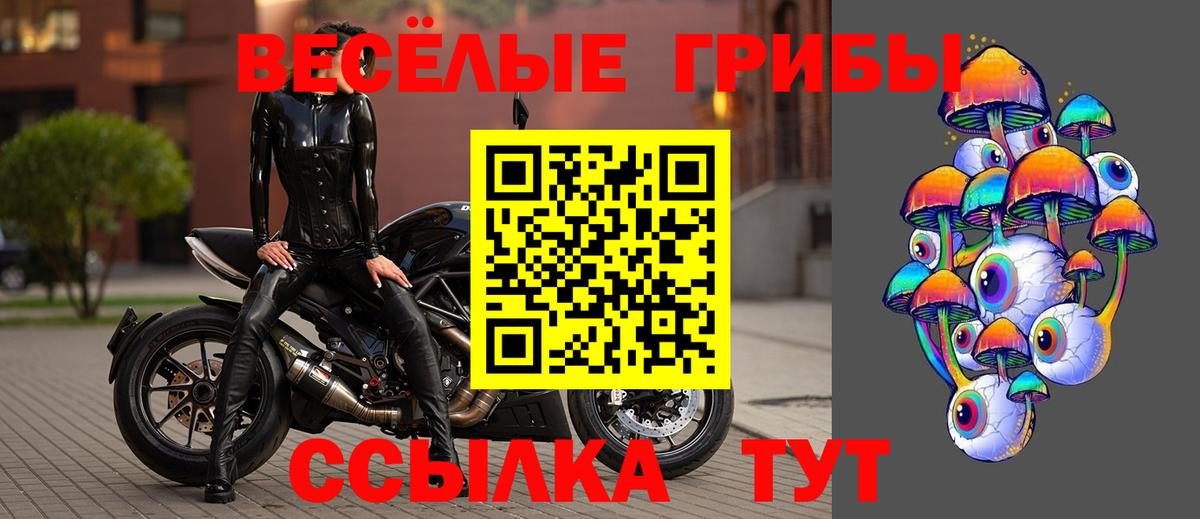 Галлюциногенные грибы мицелий Дальнереченск